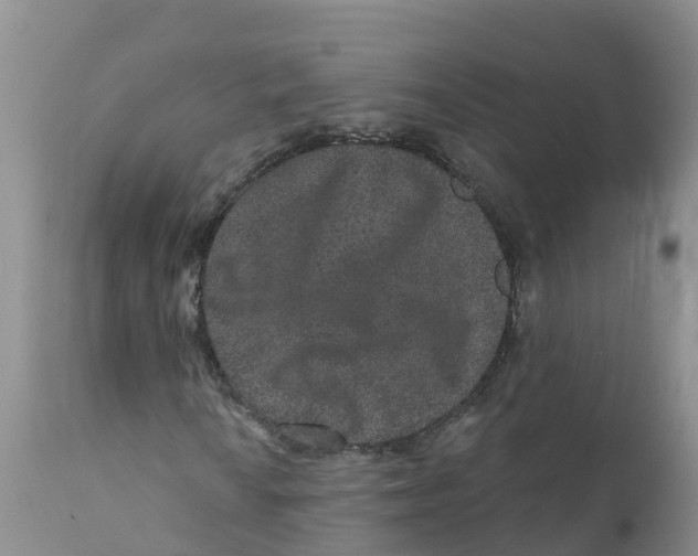 X0000111641010200908141402