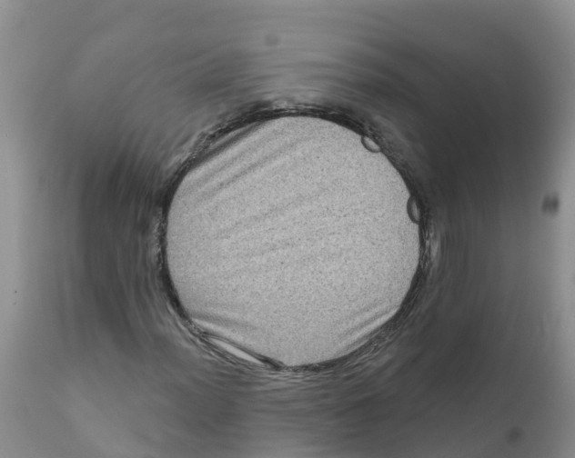 X0000111641012200908141402