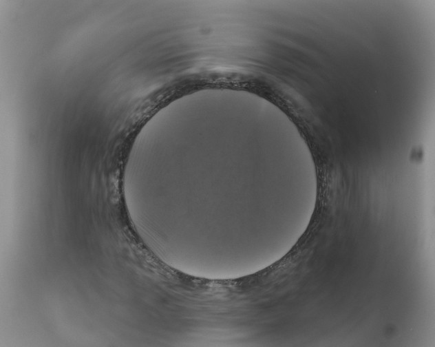 X0000111641013200908141402