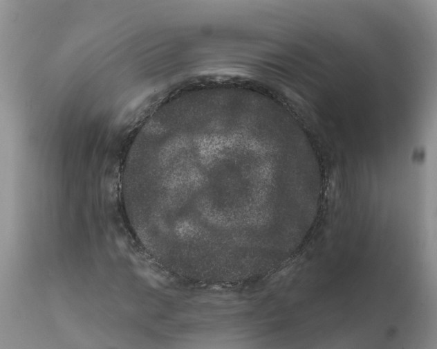 X0000111641014200908141402