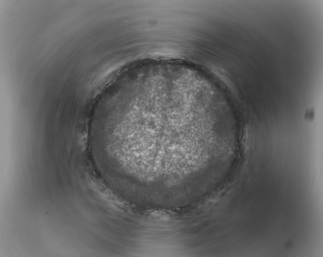 X0000111641015200908141402