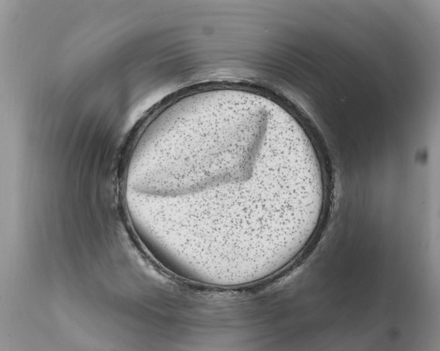 X0000111641018200908141402