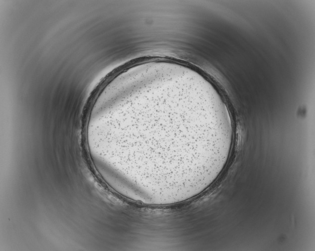 X0000111641020200908141402