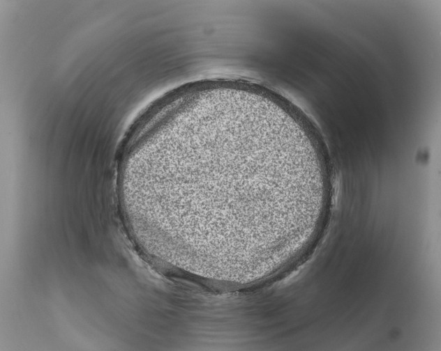 X0000111641021200908141402