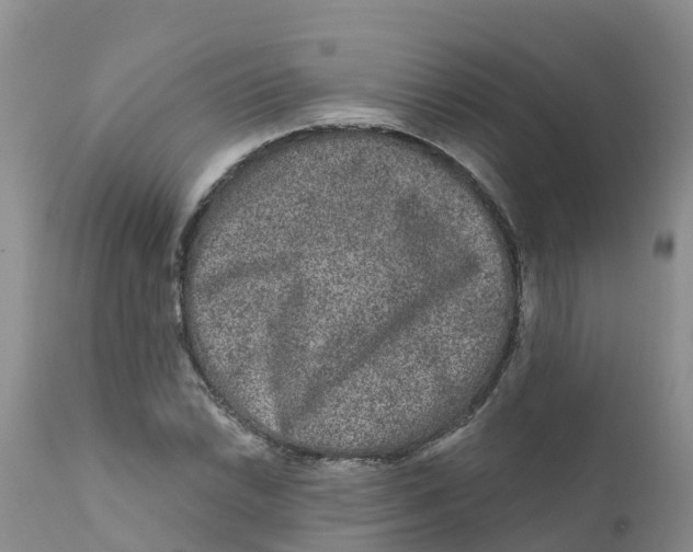 X0000111641022200908141402