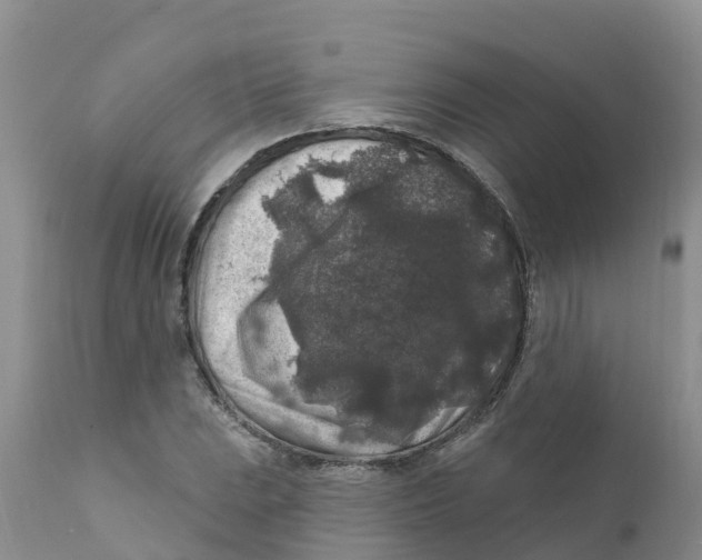 X0000111641023200908141402