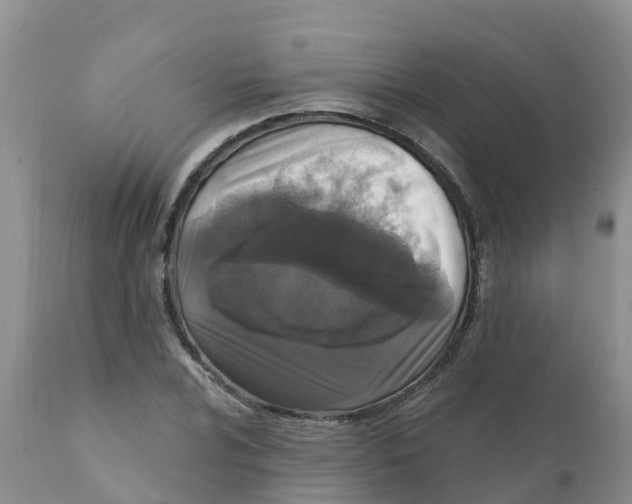 X0000111641024200908141402