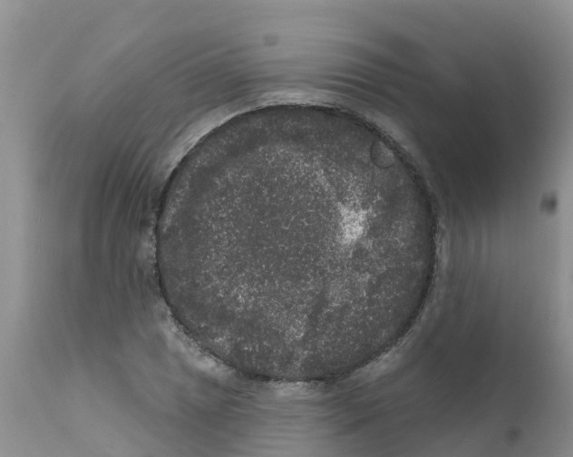 X0000111641025200908141402