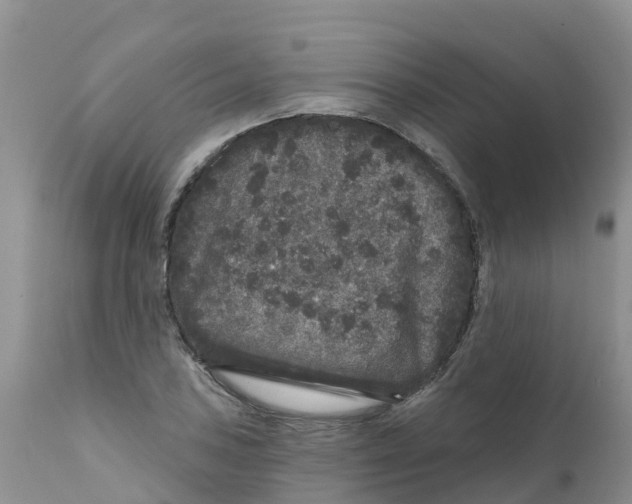 X0000111641027200908141402