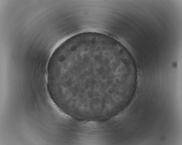 X0000111641028200908141402