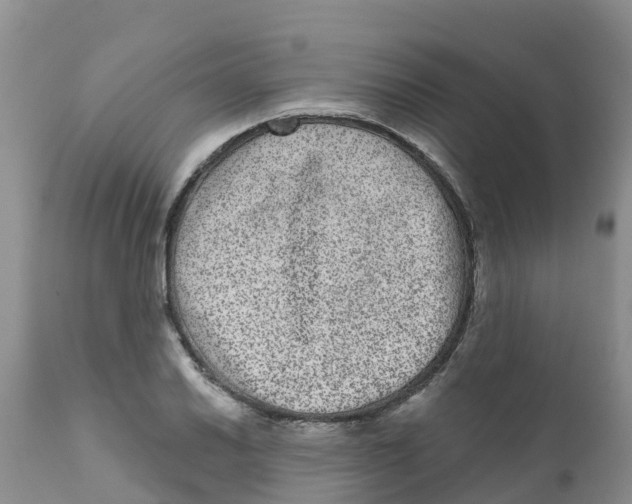 X0000111641030200908141402