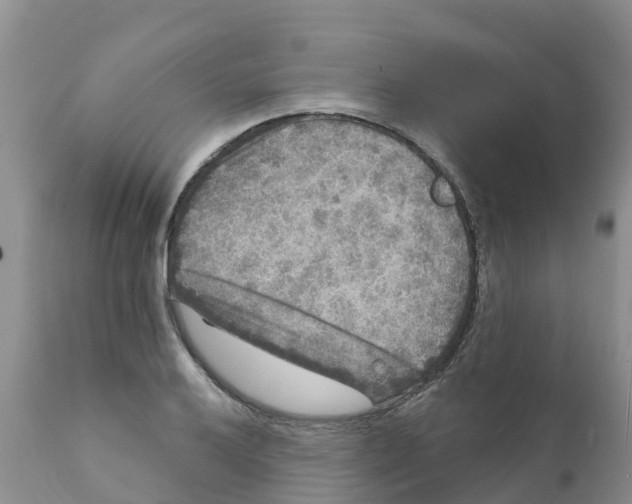 X0000111641032200908141402