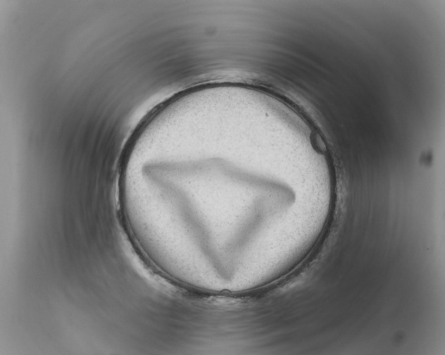 X0000111641034200908141402