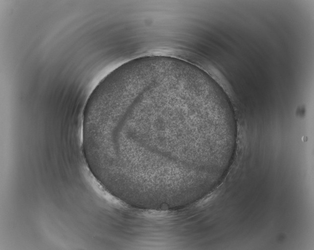 X0000111641036200908141402