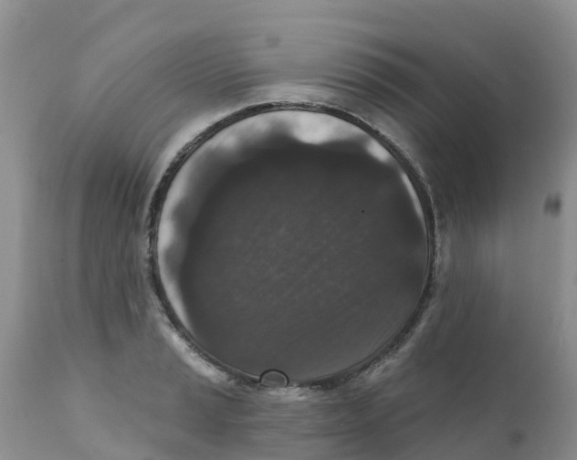 X0000111641037200908141402