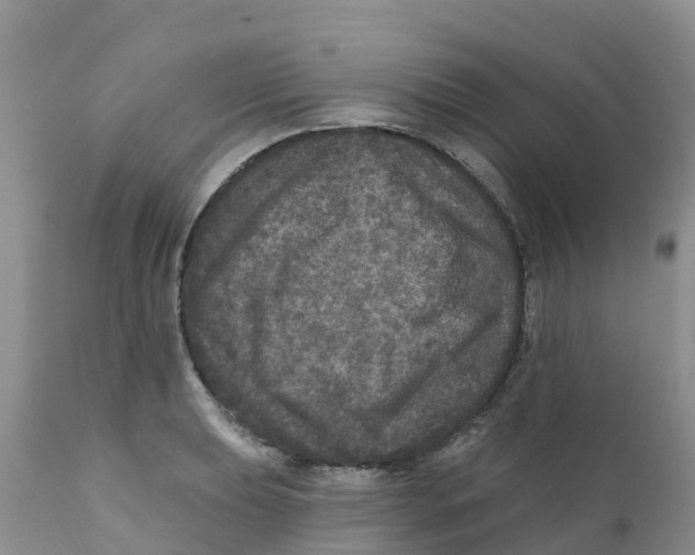 X0000111641039200908141402