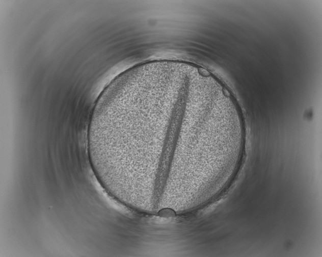X0000111641041200908141402