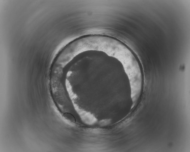 X0000111641045200908141402