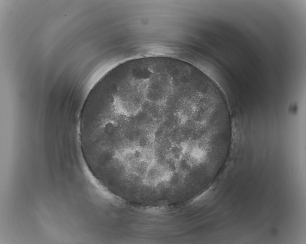 X0000111641047200908141402