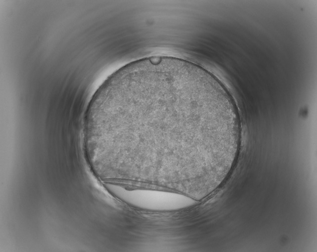 X0000111641048200908141402