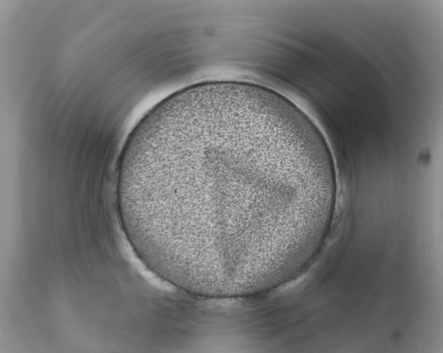X0000111641053200908141402