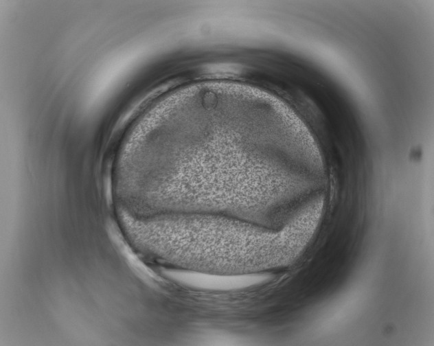 X0000111641054200908141402
