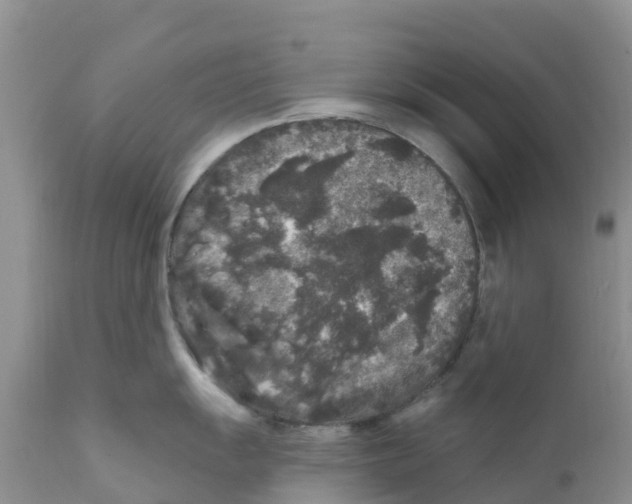 X0000111641055200908141402