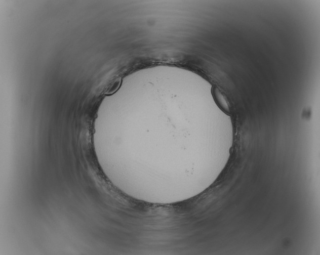 X0000111641058200908141402