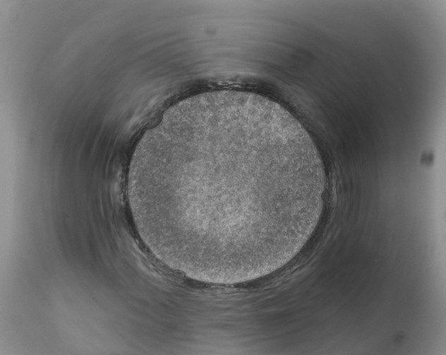 X0000111641060200908141402