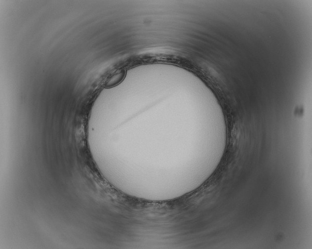 X0000111641062200908141402