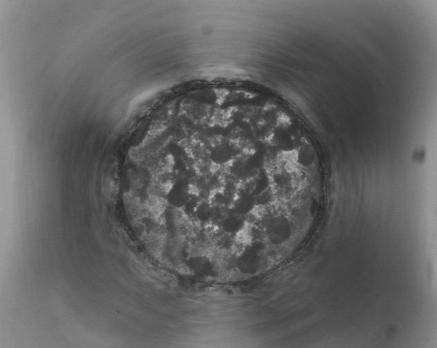 X0000111641063200908141402