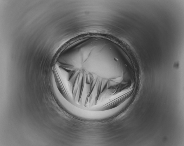 X0000111641065200908141402
