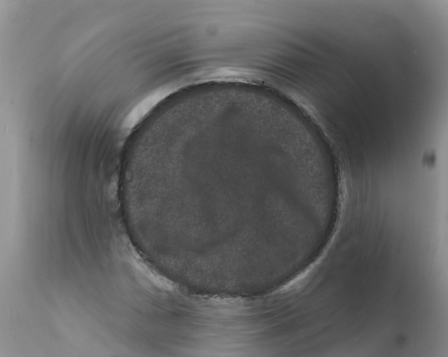 X0000111641066200908141402