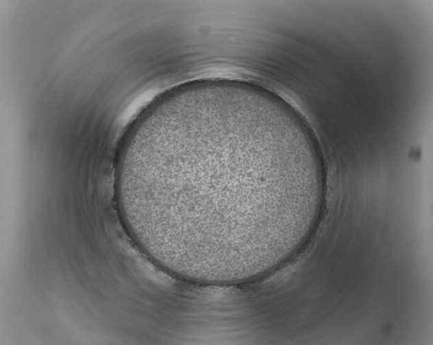 X0000111641067200908141402