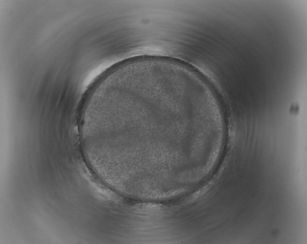 X0000111641070200908141402