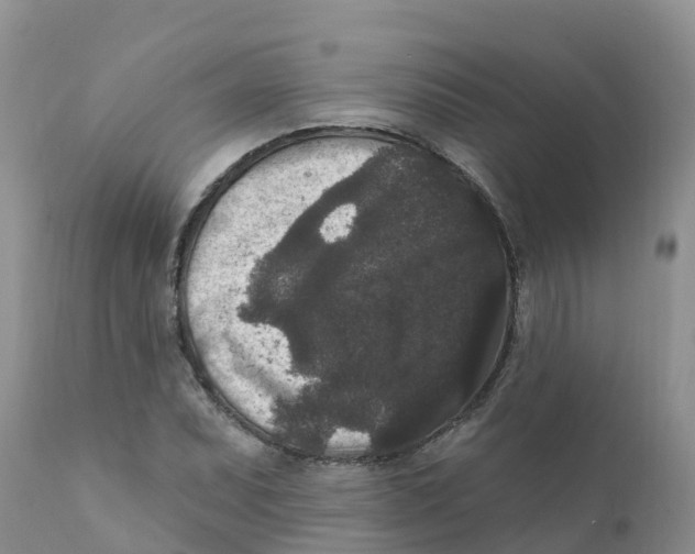 X0000111641071200908141401