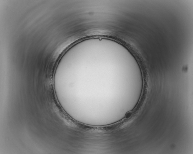 X0000111641073200908141401