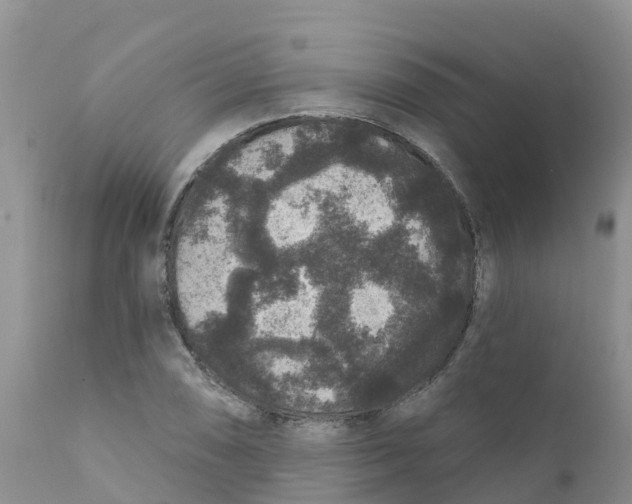 X0000111641074200908141401