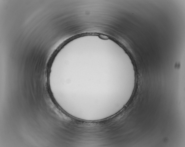 X0000111641076200908141401