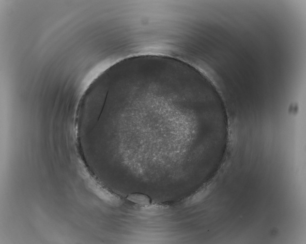 X0000111641077200908141401