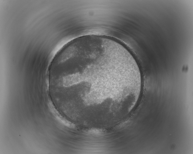 X0000111641078200908141401