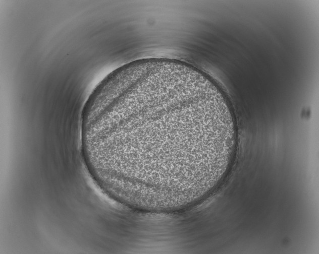 X0000111641079200908141401