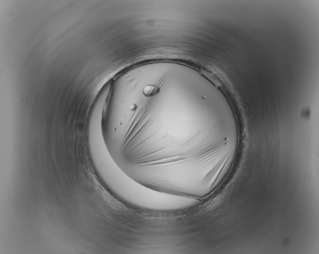 X0000111641081200908141401