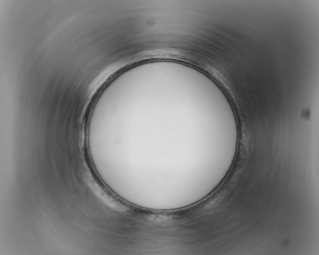 X0000111641082200908141401