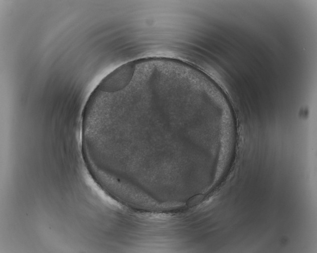 X0000111641084200908141401