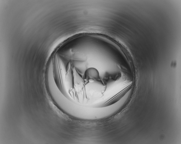 X0000111641085200908141401
