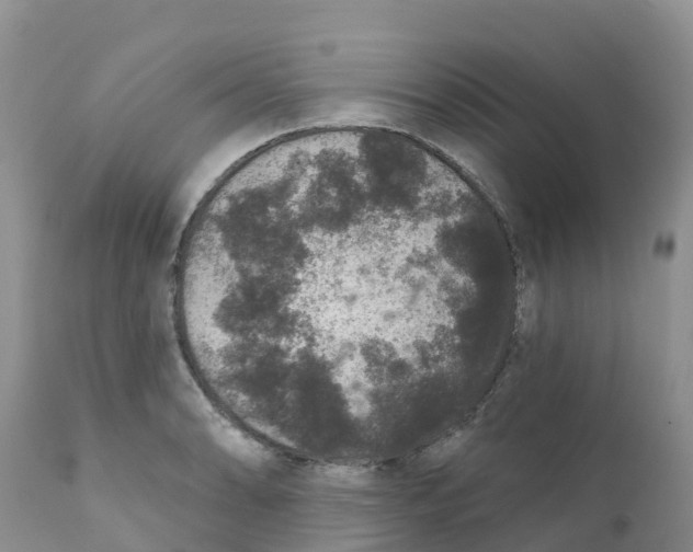 X0000111641086200908141401