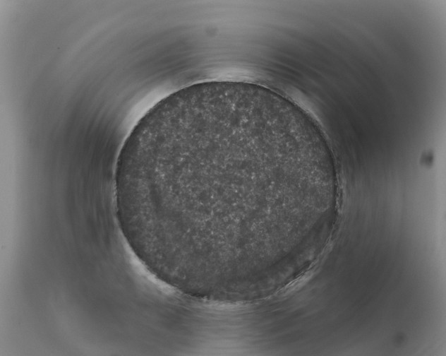 X0000111641087200908141401