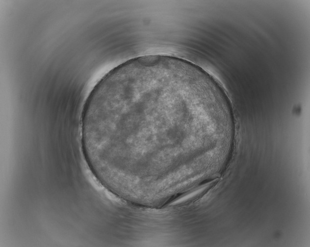 X0000111641088200908141401