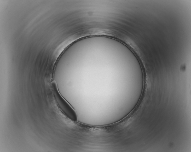 X0000111641089200908141401